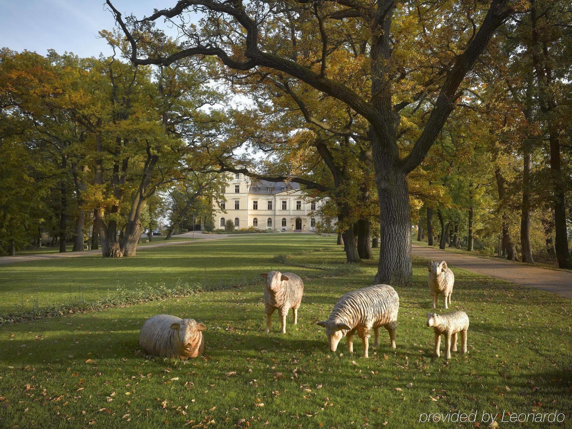 Chateau Mcely Екстер'єр фото